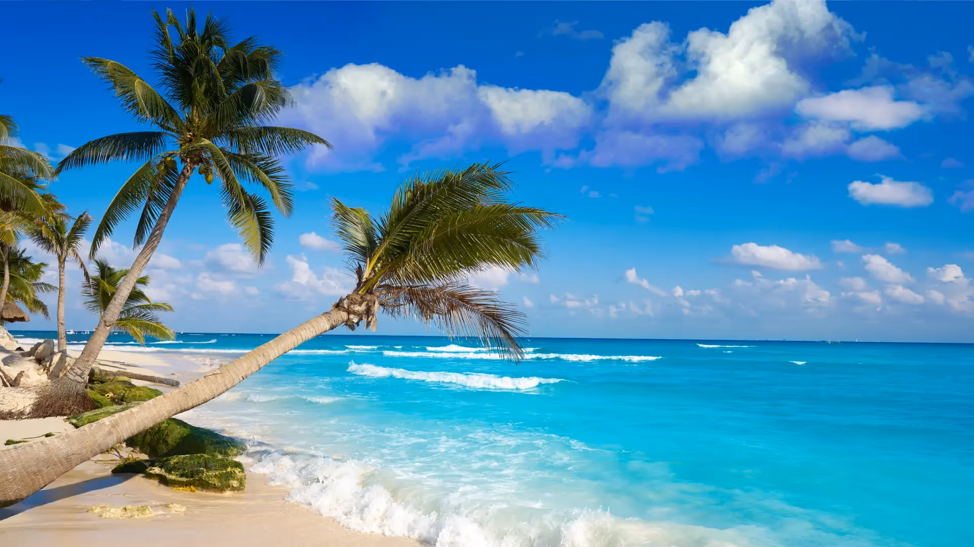 Puerto Aventuras background
