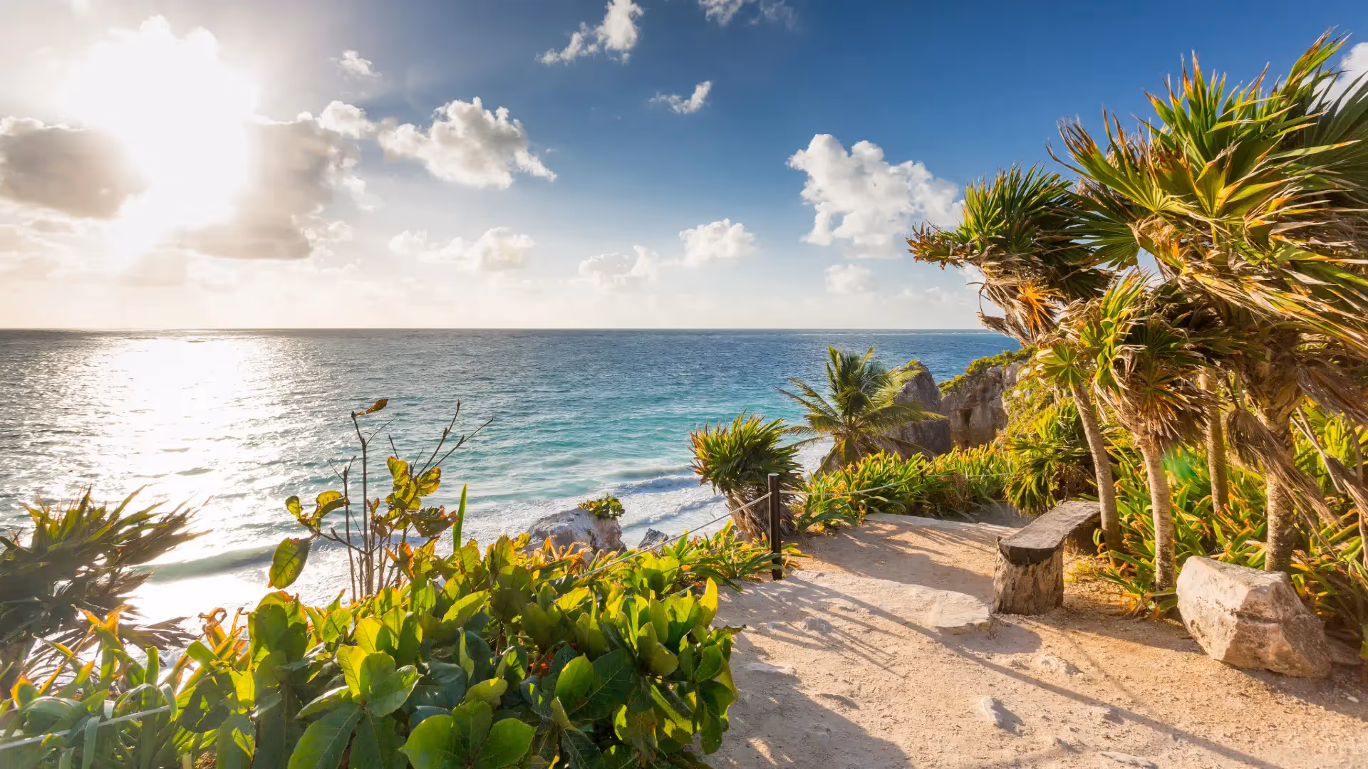 Riviera Maya background