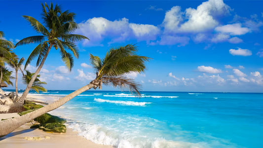 Puerto Aventuras